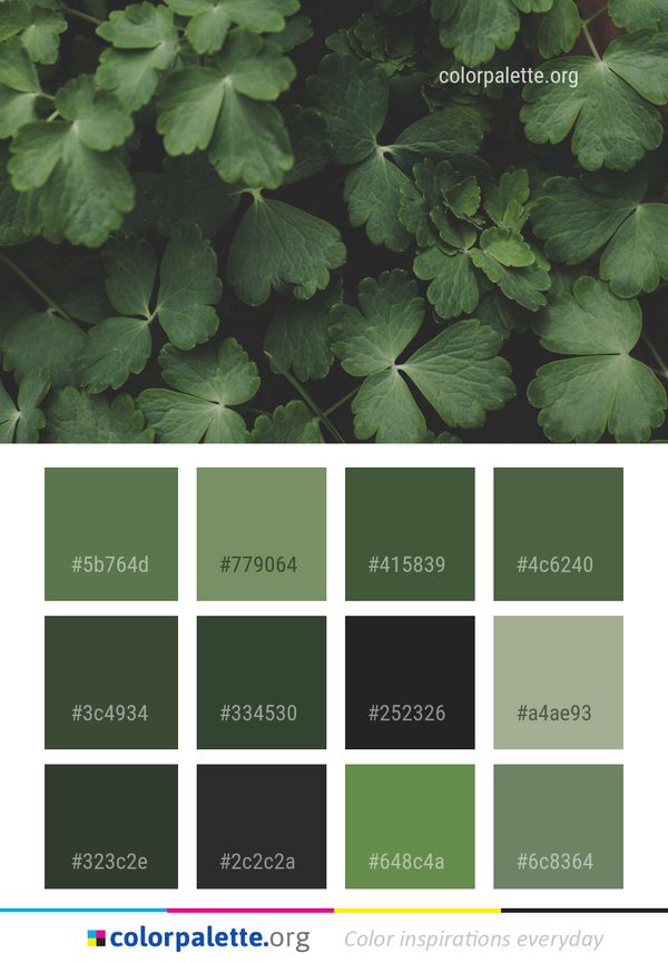 Green Leaf Plant Color Palette