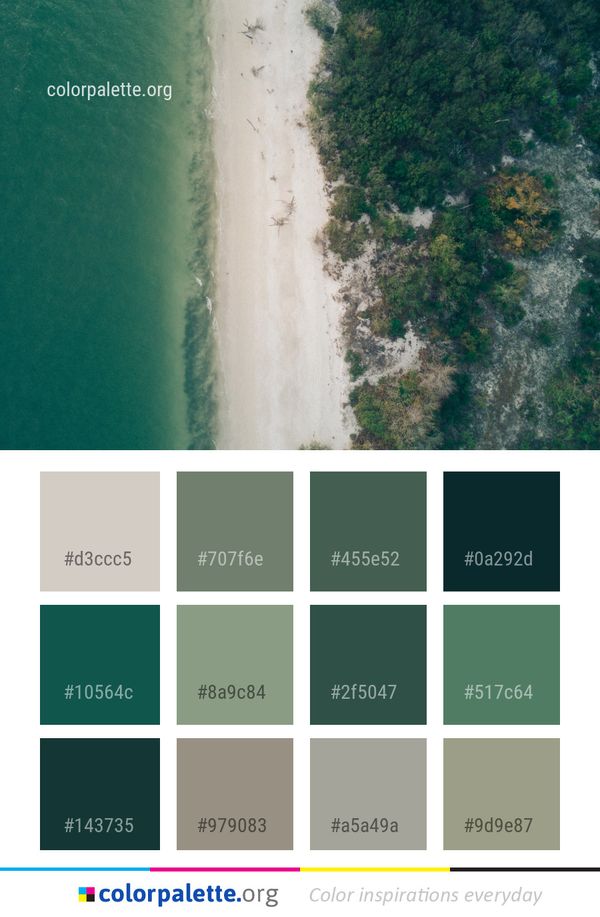 Green Water Resources Color Palette