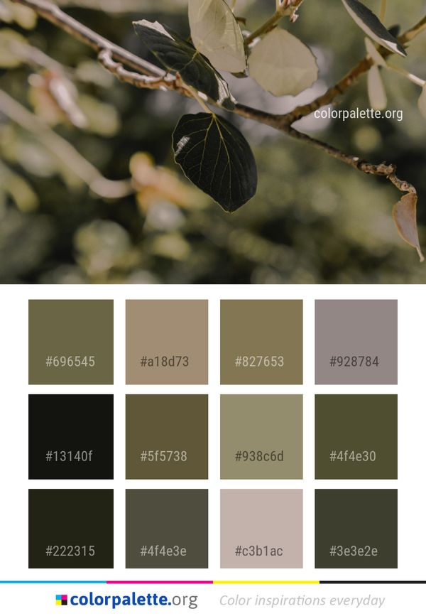 Leaf Plant Flora Color Palette
