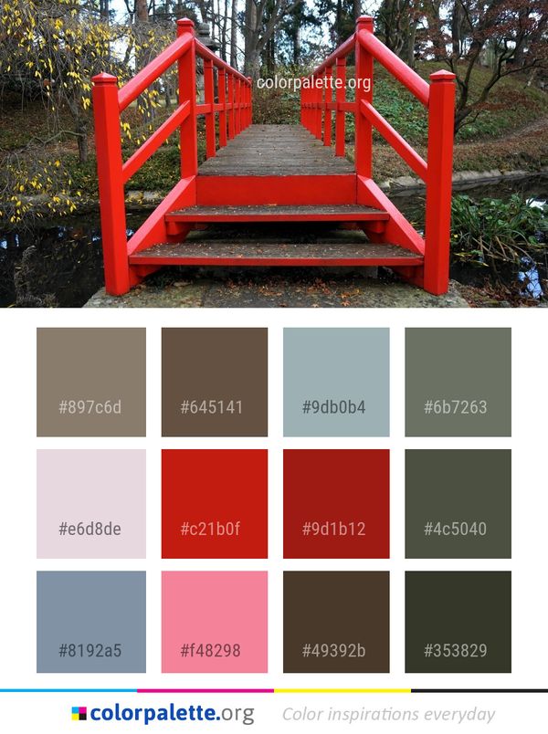 Public Space Wood Tree Color Palette