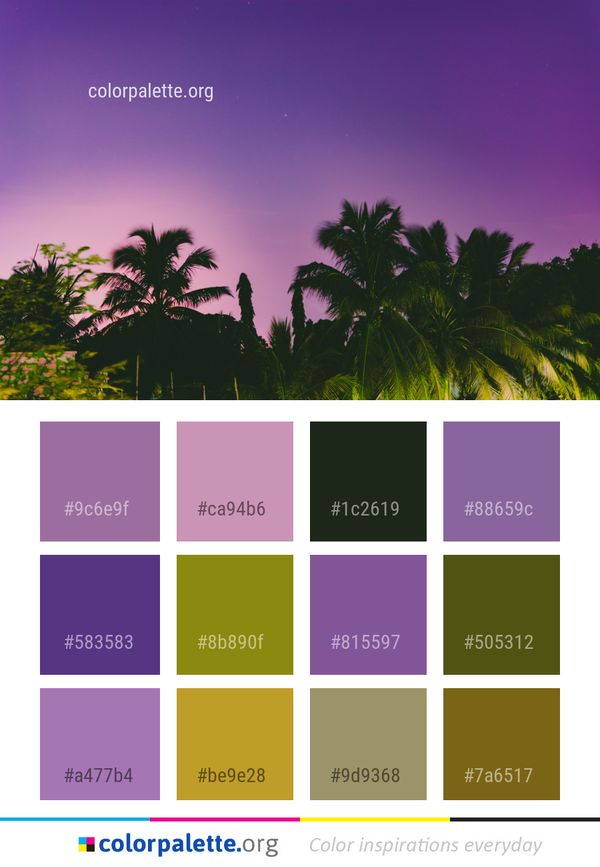 Sky Nature Palm Tree Color Palette