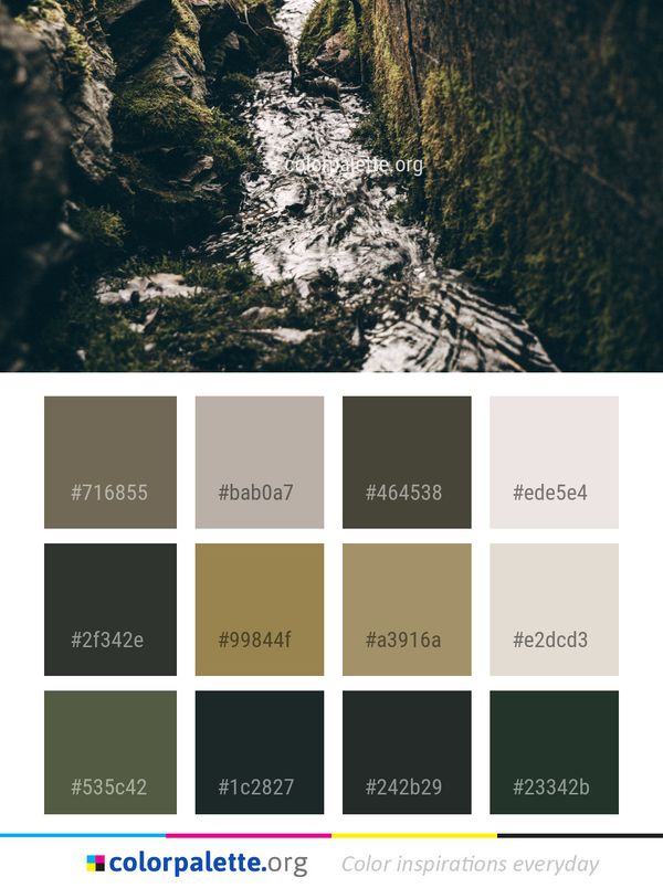 Water Tree Aerial Photography Color Palette