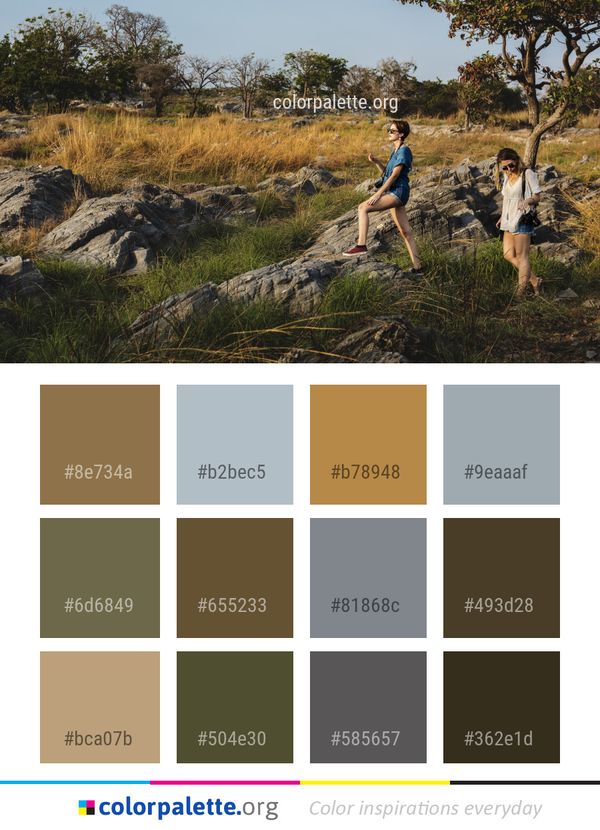 Wilderness Nature Reserve Tree Color Palette