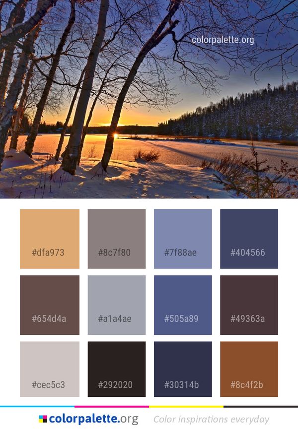 Winter Sky Snow Color Palette