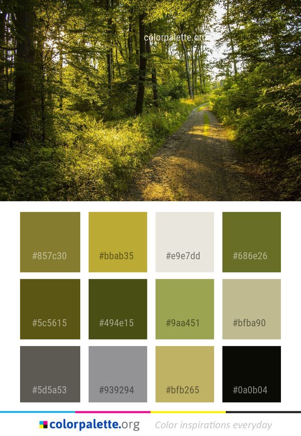 Woodland Nature Path Color Palette