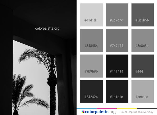 Black And White Sky Color Palette