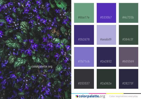 Blue Purple Violet Color Palette