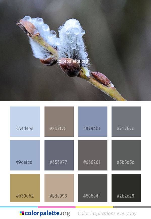 Bud Flora Macro Photography Color Palette
