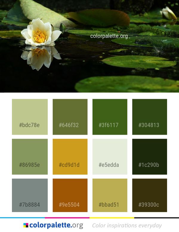 Flower Flora Water Color Palette
