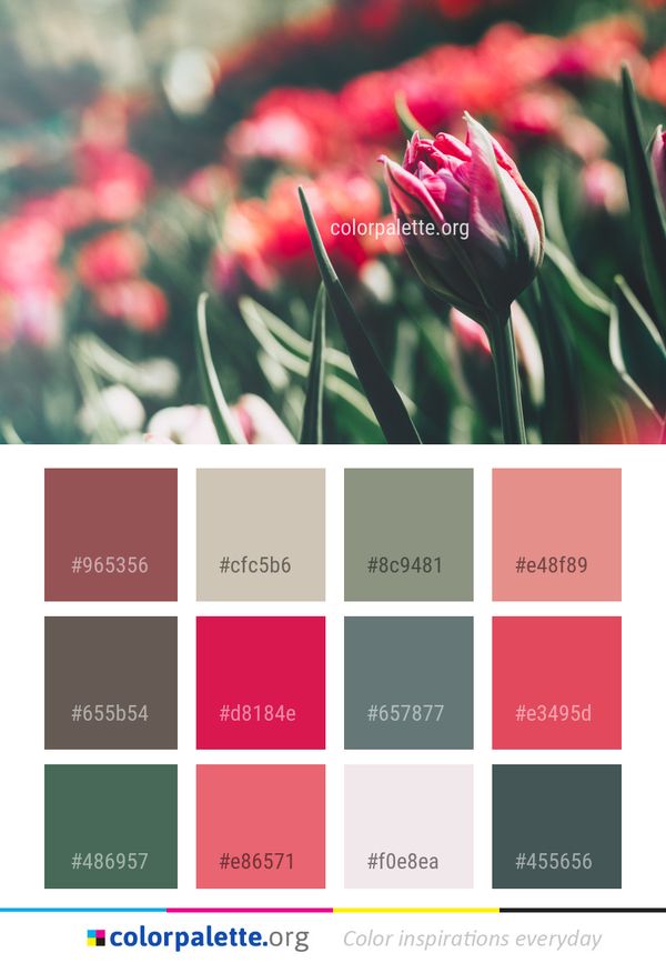 Flower Plant Red Color Palette