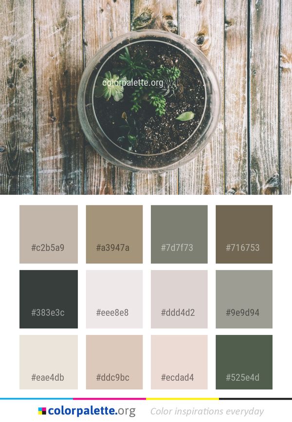Green Tree Wood Color Palette