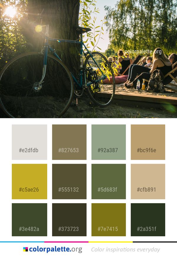 Land Vehicle Bicycle Road Color Palette