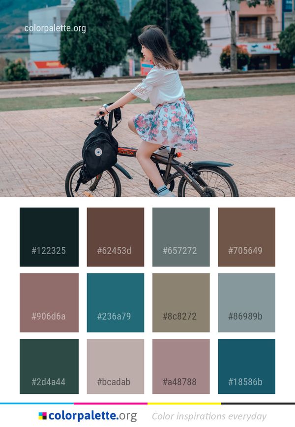 Land Vehicle Bicycle Color Palette