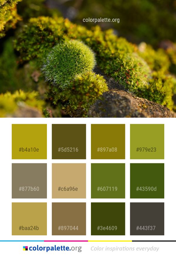 Vegetation Plant Flora Color Palette