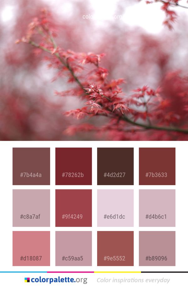 Blossom Pink Red Color Palette