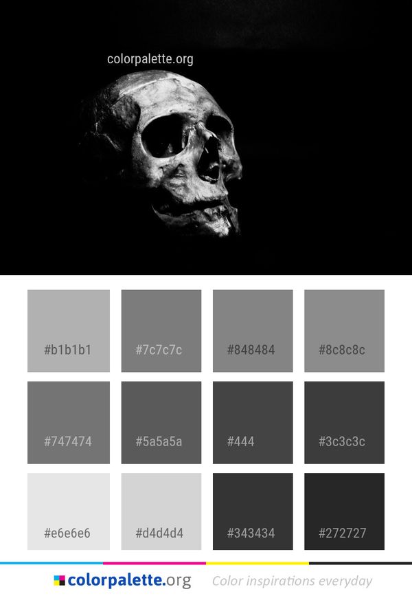 Bone Black And White Skull Color Palette