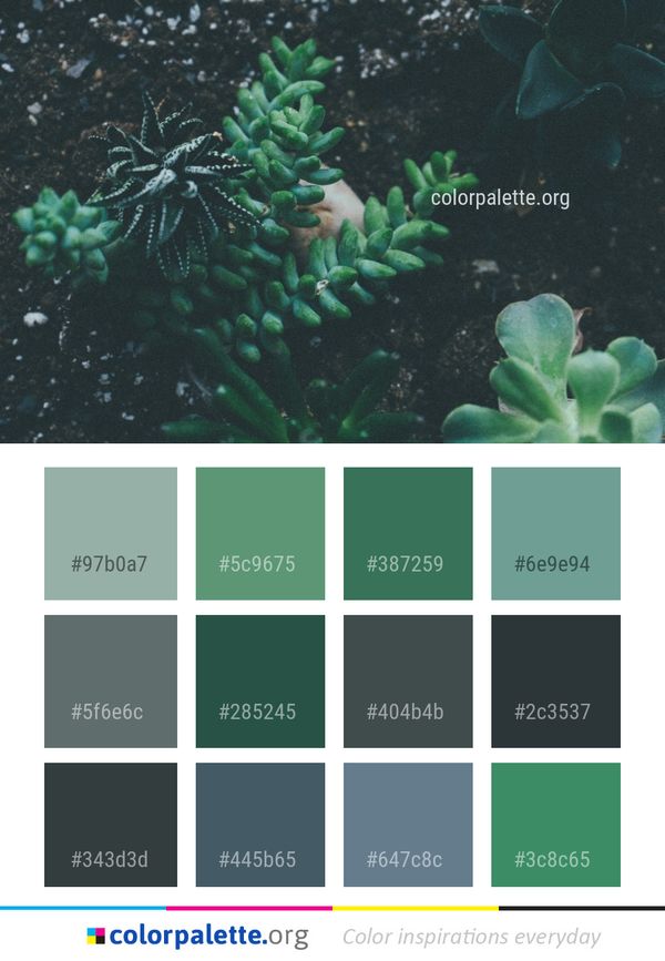 Ecosystem Marine Biology Underwater Color Palette