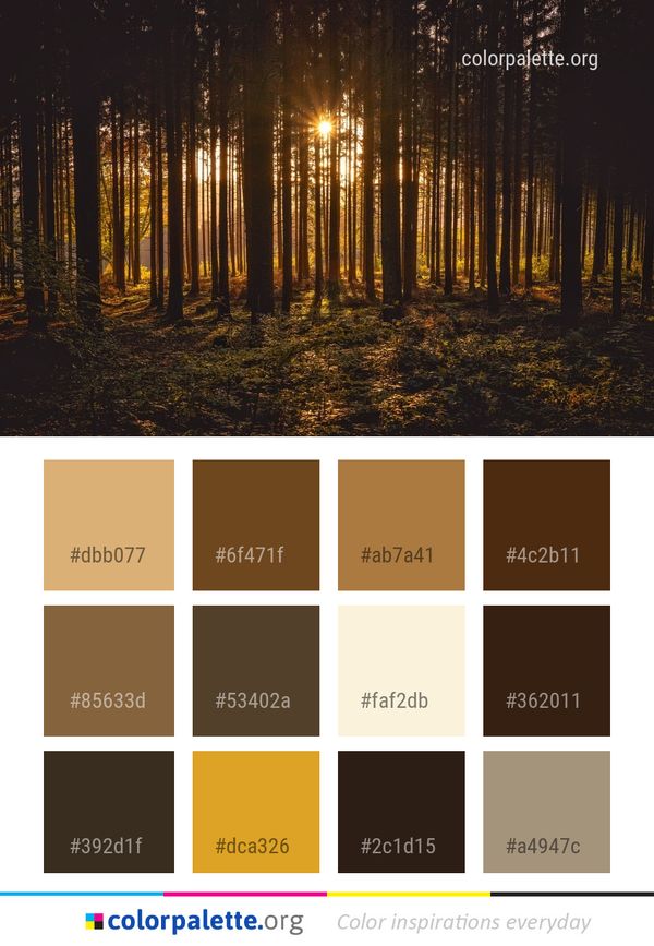 Forest Nature Woodland Color Palette