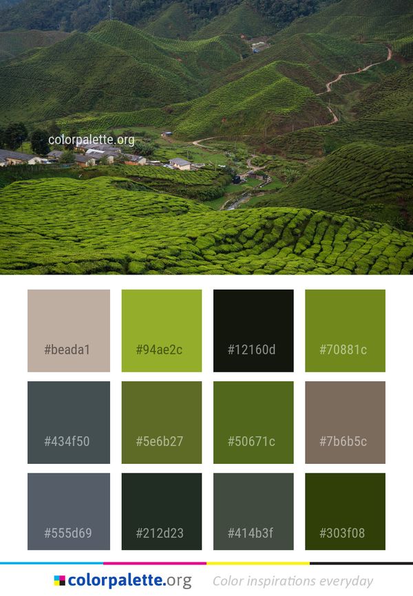 Highland Vegetation Green Color Palette