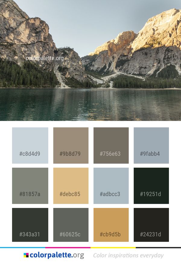Nature Reflection Wilderness Color Palette