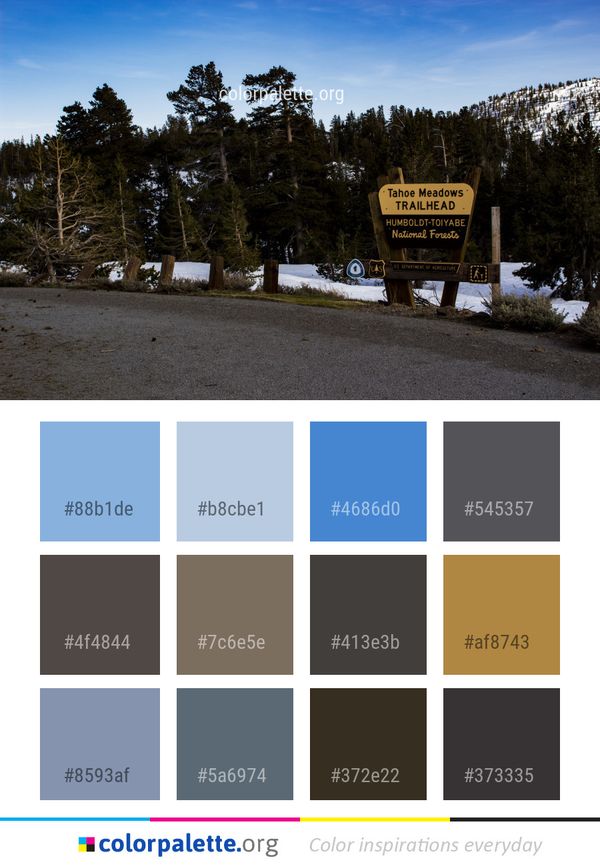 Nature Sky Tree Color Palette