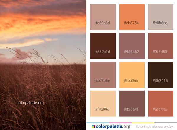 Sky Ecosystem Field Color Palette