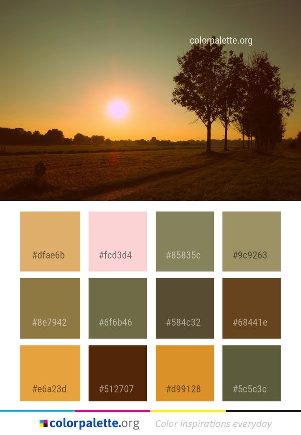 Sky Field Tree Color Palette