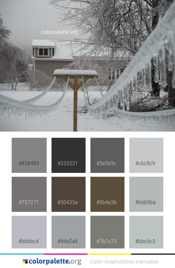 Snow Winter Home Color Palette