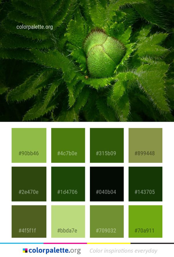 Vegetation Leaf Biome Color Palette