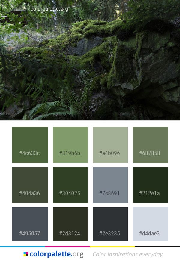 Vegetation Nature Green Color Palette