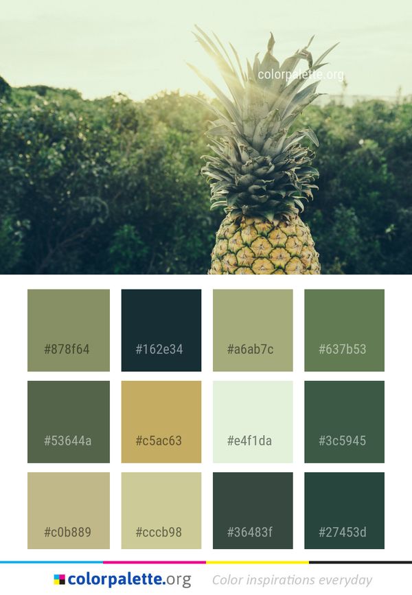 Vegetation Plant Pineapple Color Palette