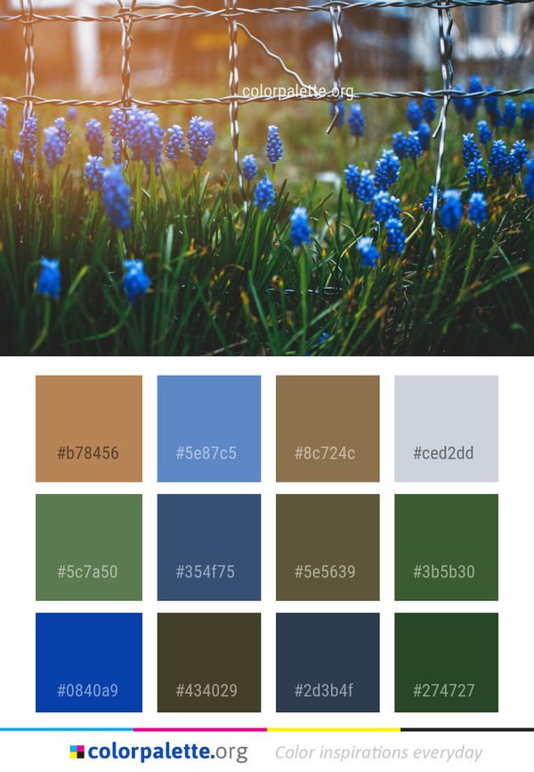 Blue Flower Plant Color Palette