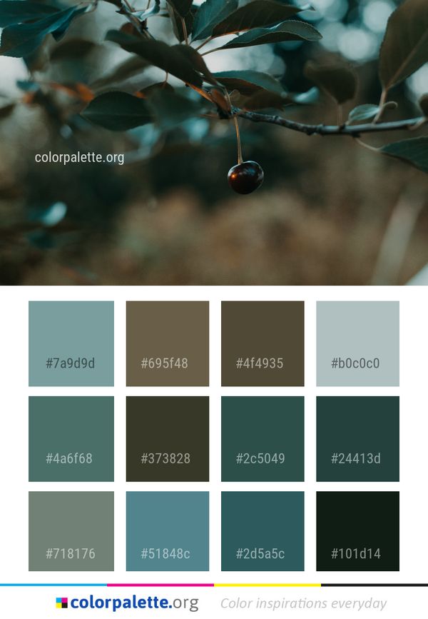 Blue Water Branch Color Palette