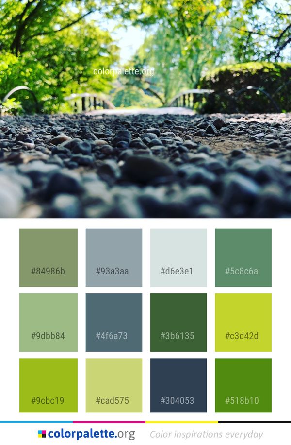 Leaf Tree Grass Color Palette