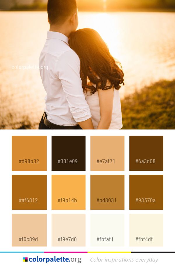 Photograph Yellow Photography Color Palette