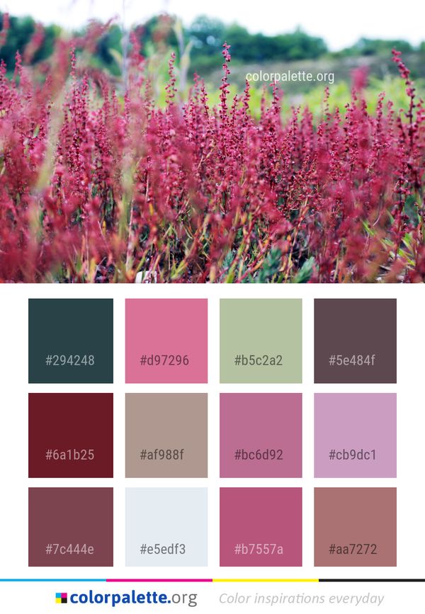 Plant Pink Vegetation Color Palette
