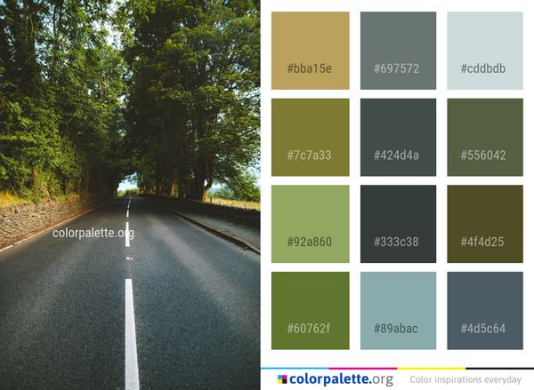 Road Asphalt Lane Color Palette