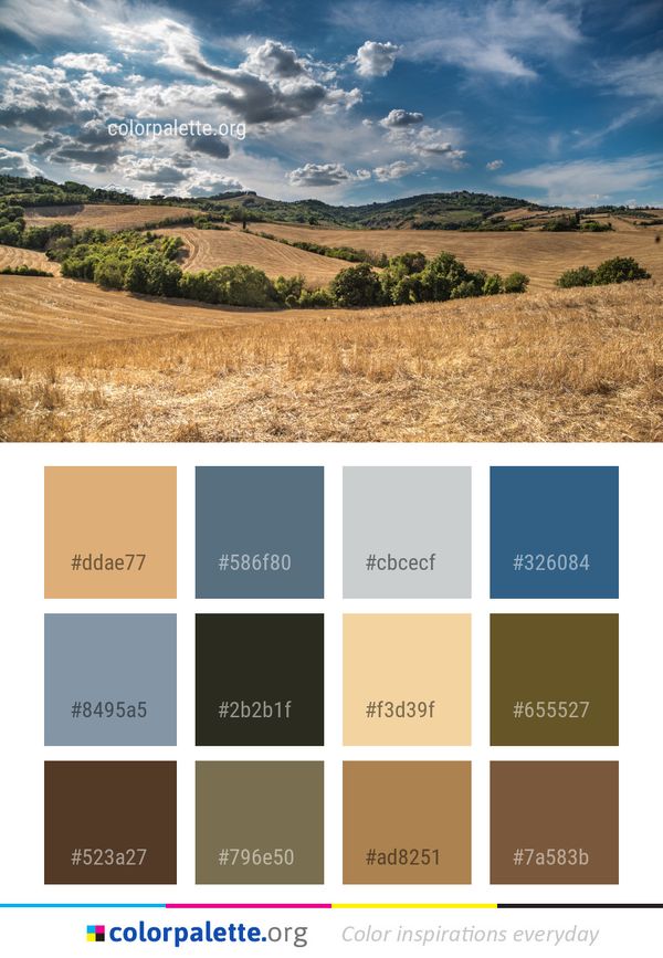 Sky Cloud Grassland Color Palette