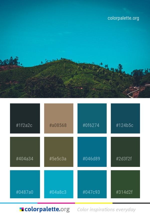 Sky Green Nature Color Palette