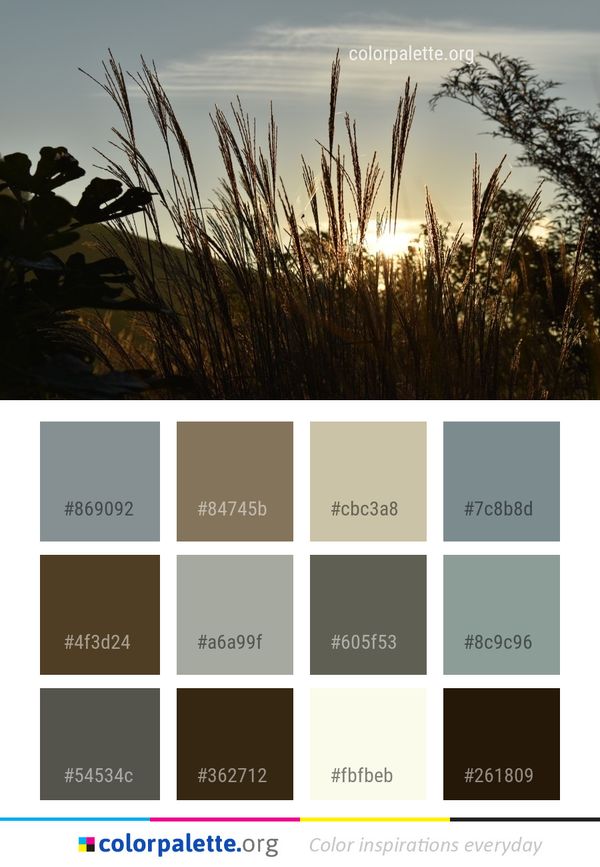 Sky Morning Grass Family Color Palette
