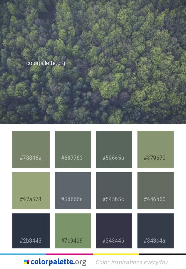 Vegetation Green Ecosystem Color Palette