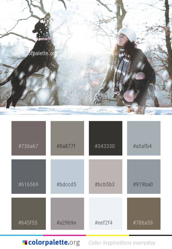 Winter Snow Tree Color Palette