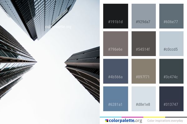 Black And White Architecture Building Color Palette