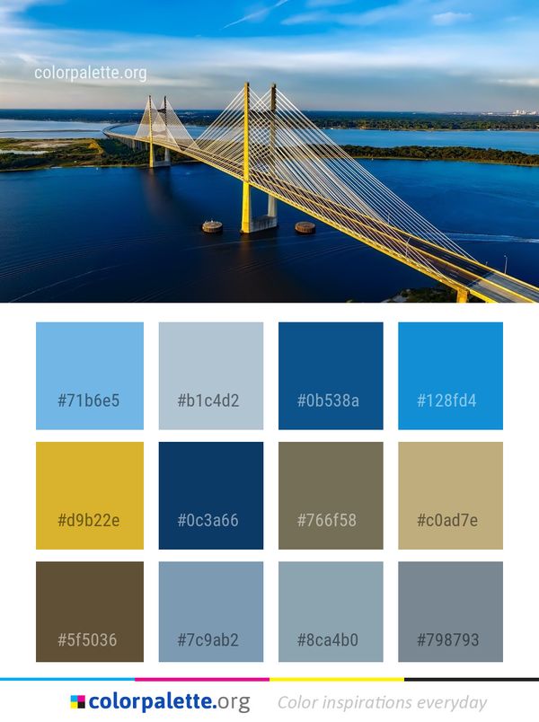 Bridge Cable Stayed Landmark Color Palette