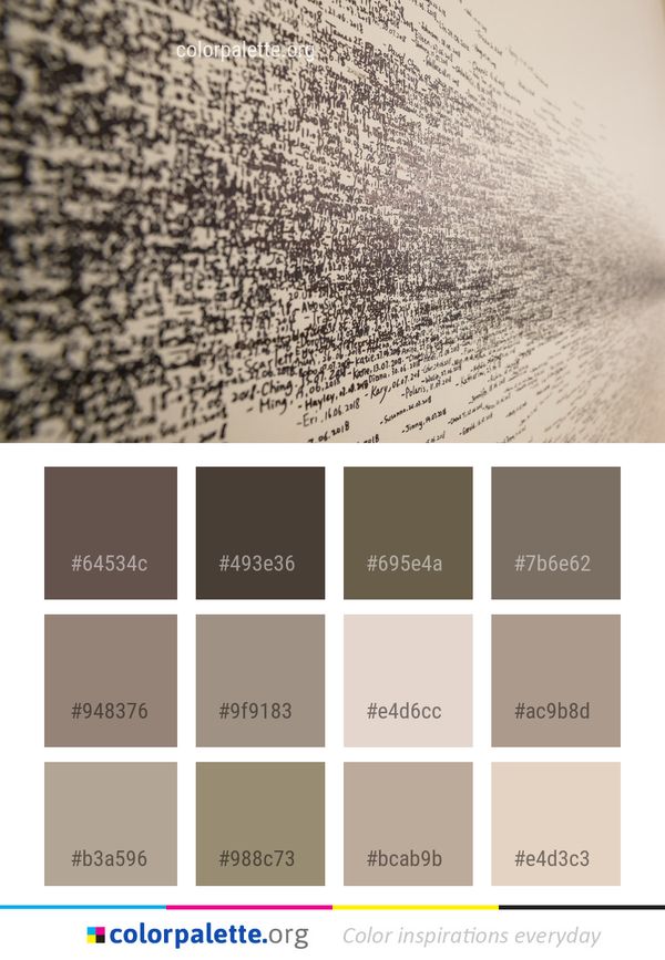 Colorful Color Palette