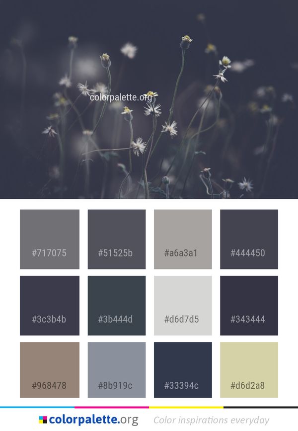 Flora Flower Darkness Color Palette