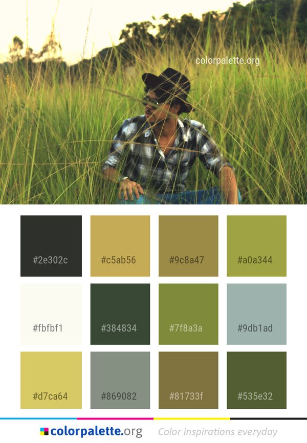 Grass Ecosystem Grassland Color Palette