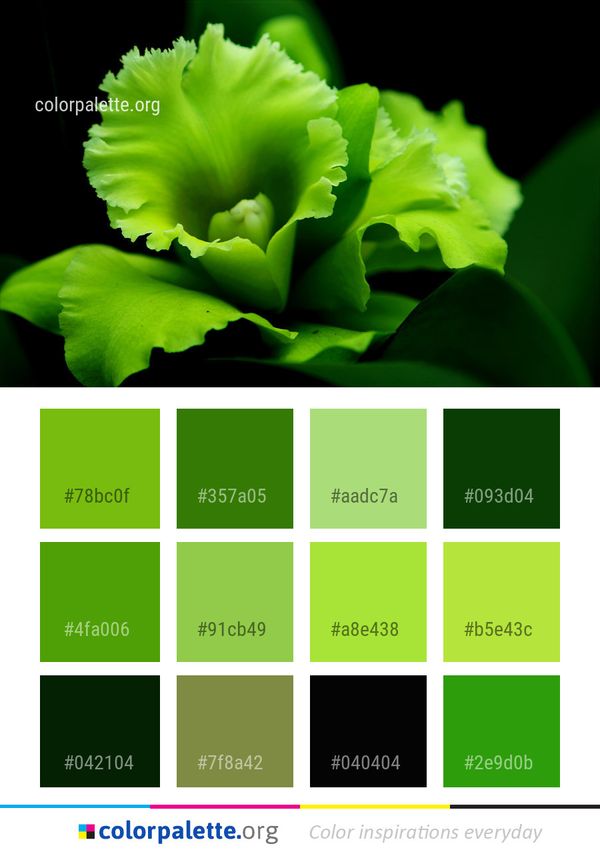 Green Leaf Flora Color Palette