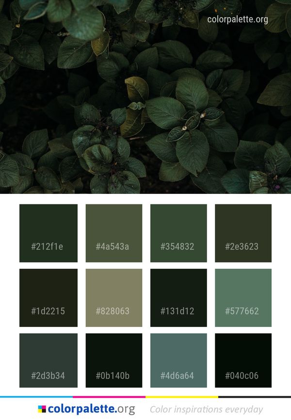 Green Leaf Plant Color Palette