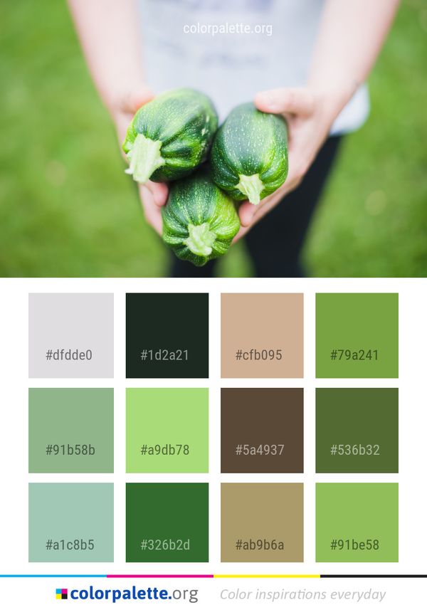 Leaf Plant Macro Photography Color Palette